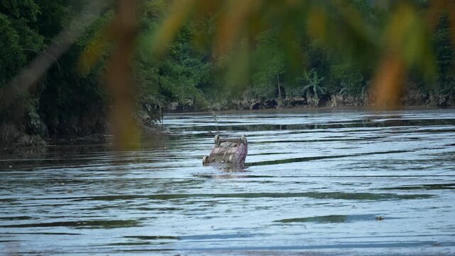 An upside down car partially submerged in mud after an extreme flooding due to heady monsoon rain in Assam, India.