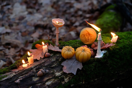decorative pumpkins, mushroom-shaped candles and moon amulet in autumn forest, dark nature background. Wax craft decor. Magic Ritual with burning candles. Witchcraft, spiritual esoteric ceremony.