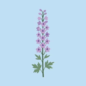 A minimalist vector illustration of a purple larkspur flower on a light blue background