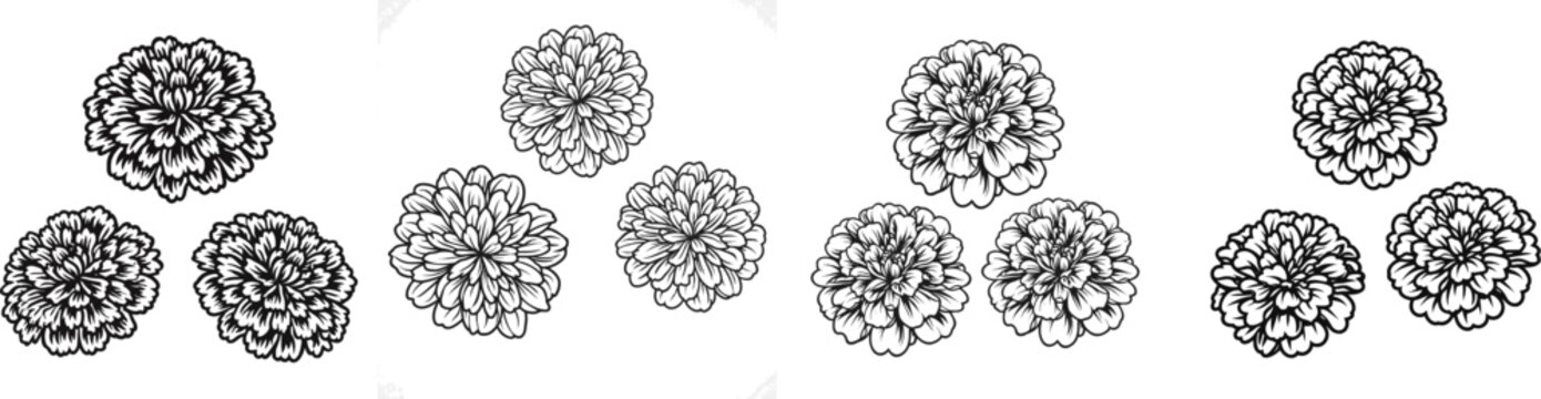 A minimalist black-and-white iconography of three dense marigold blooms forms an invisible triangle on a white background