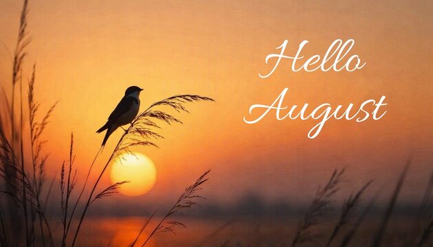 Hello August &mdash; sunrise with a small bird perched on tall grass, glowing orange sky and soft light. Seasonal greetings, calendars, or postcards.