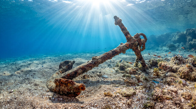 Antigua ancla oxidada sobre el fondo marino iluminada por rayos de sol que atraviesan el agua cristalina. Escena submarina tropical de gran realismo y serenidad.