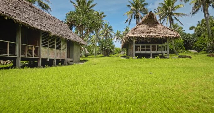 Two traditional thatched bungalows stand on vibrant green grass lawn, lush palm trees and tropical vegetation under clear blue sky, offering a glimpse into island life at Port Resolution, Vanuatu