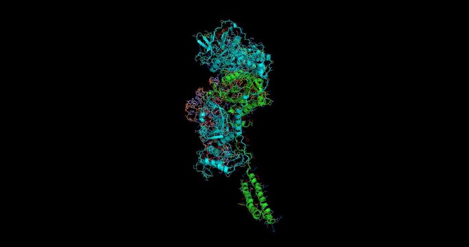 Phenylalanyl tRNA synthetase complexed with cognate tRNA Phe, macromolecular translation complex, 3D molecule spinning, 4K