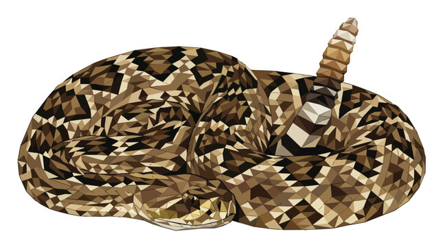 Coiled Rattlesnake Vector Illustration in Geometric Low Poly Style Isolated on White Background for Wildlife Design
