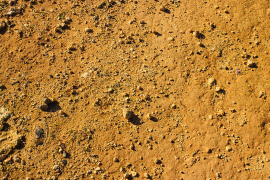 Desert ground as a natural background.