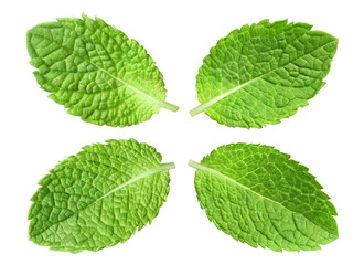 Set of four fresh mint leaves, isolated on transparent cutout background © Yeti Studio