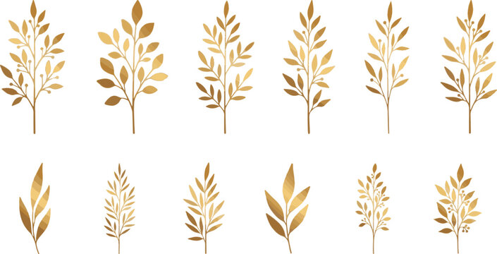 Set of golden decorative leafy plant branches for floral design and greeting cards with botanical decoration illustration invitation ornament luxurious