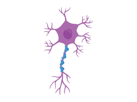 Multiple Sclerosis or Motor Neuron Disease