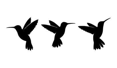 Obraz premium Three Hummingbirds in Flight with Different Wing Positions Black Silhouette Vector Set 