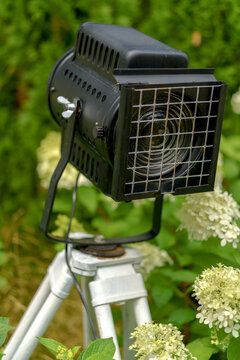 Vintage stage spotlight on a tripod in a garden setup. Professional lighting equipment surrounded by blurred white hydrangea flowers.