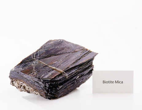Diverse collection raw mineral and gemstone specimens on white