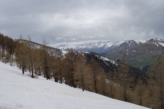 Maritime Alps, along French-Italian border the French region of Provence-Alpes-Cote d'Azur and the Liguria Italian region