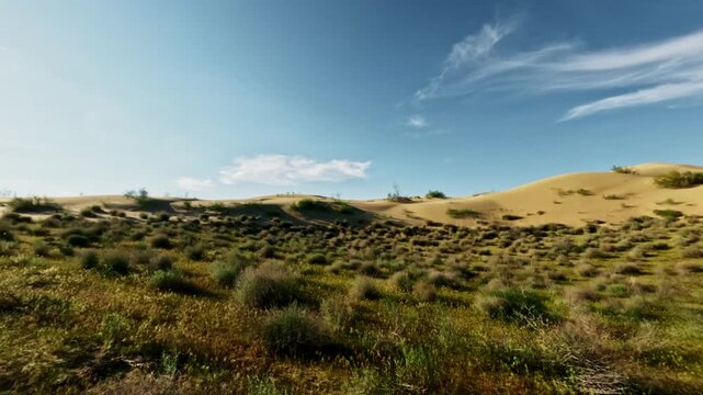 SUV driving off-road through sandy terrain with vegetation and blue sky