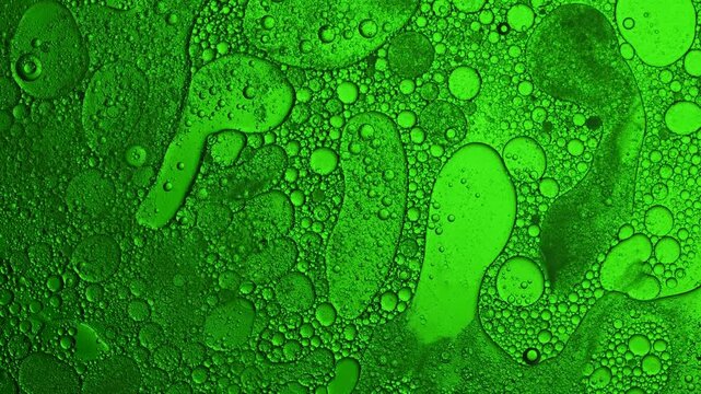 Green oil droplets moving in water solution