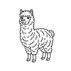 Fototapeta premium Cute llama line art illustration, fluffy alpaca doodle drawing, animal coloring page concept isolated on white background