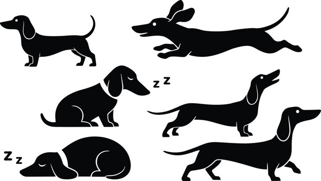 Conjunto de simp&aacute;ticas siluetas de perros salchicha en varias poses