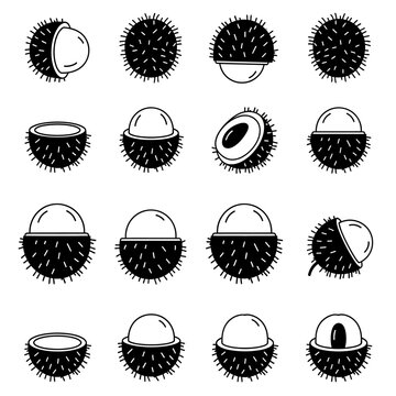 Rambutan Fruit Icons Set - Whole and Halved, Line Art Illustrations