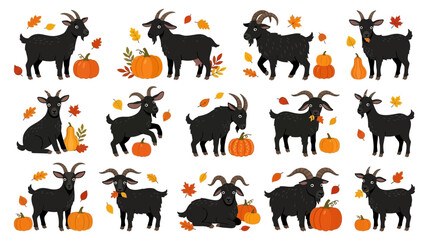 Fototapeta premium Set of cute hand drawn black goats with pumpkins and autumn leaves isolated on white background for seasonal harvest design projects