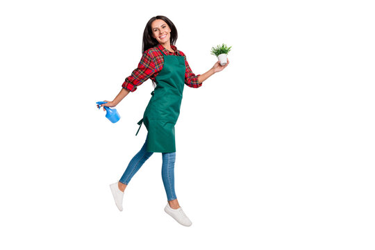 Full body profile side photo of brunette young woman wear jeans hold plant pulverizer isolated on grey color background