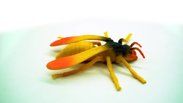 Rotating display of a realistic toy wasp on a clean white background, capturing nature themes, wildlife presentations, and commercial product motion concepts.