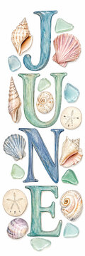 Watercolor illustration of June with various decorative seashells