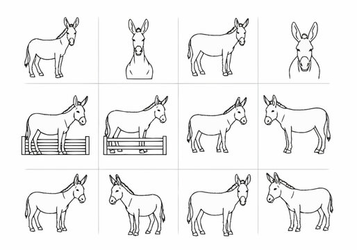Collection of Donkey Illustrations in Various Poses.