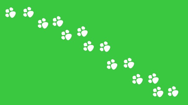Animal paw animation on green screen. Animated white color footprints. High quality 4K Resolution