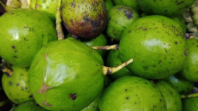 Heap of fresh green round avocados raw organic tropical fruit close-up background