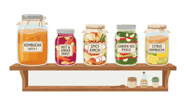 Jars of fermented foods displayed on wooden shelf in minimal style. Homemade Fermented Crafts (Kombucha and Kimchi)