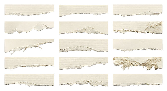 Set of off-white torn paper strips with deckled edges isolated on a white background, for scrapbooking and, artistic paper craft projects