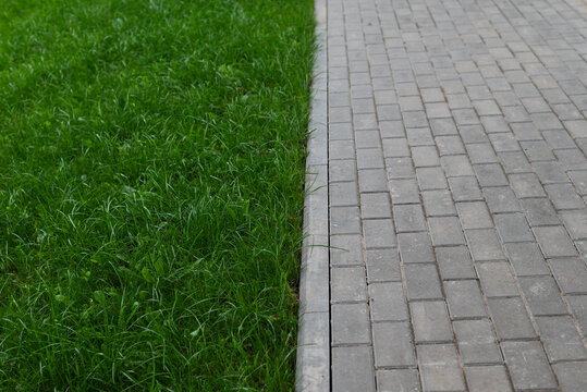 A section of vibrant green grass meets a gray stone pathway in a garden.