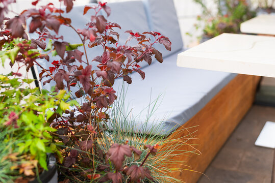 A seating area features cushions and plants in a contemporary outdoor setting. The space is designed for relaxation and social activities, with greenery surrounding the furniture