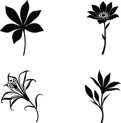 Fototapeta premium Elegant Floral Silhouette SVG Bundle | Lily and Botanical Flower Vector