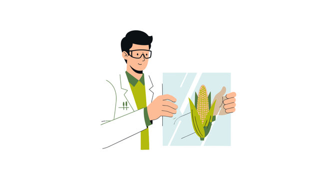 Scientist Researching Genetically Modified Corn Using Digital Tablet, Biotechnology and Sustainable Agriculture Concept