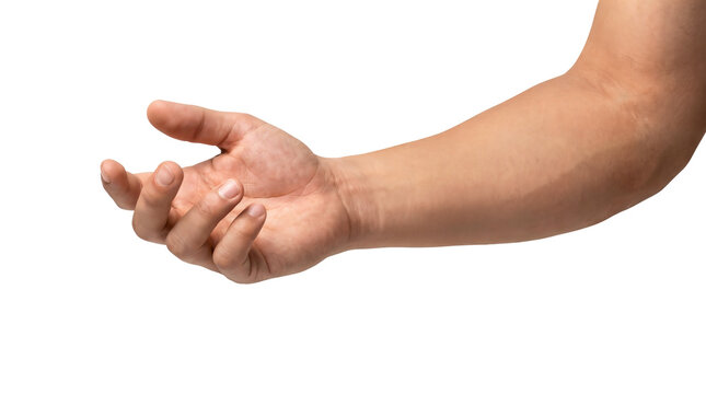 Isolated human arm with open hand gesture, bare skin forearm on white background, body part detail for medical and anatomy use