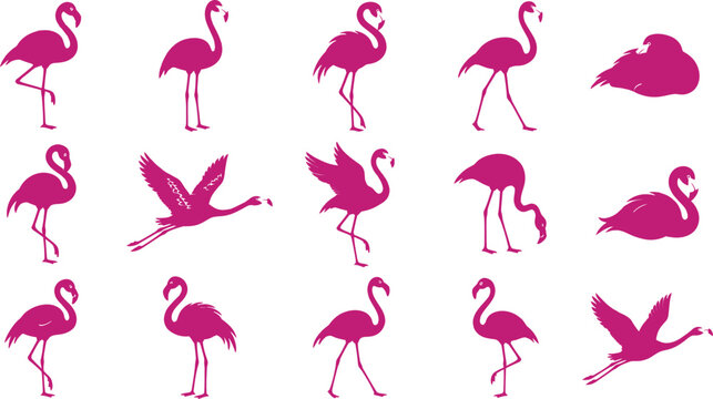 Breast cancer awareness vector bundle halloween themed pink flamingo illustrations set featuring various poses for creative design projects and holiday seasonal crafts