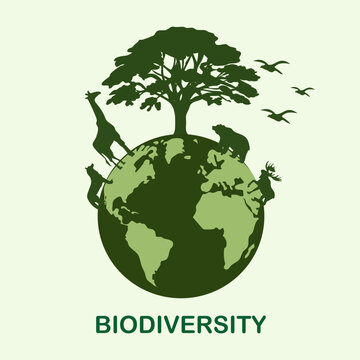 Biodiversity design template for celebration. animals and plants vector illustration. biodiversity vector design. flat animals and plants vector