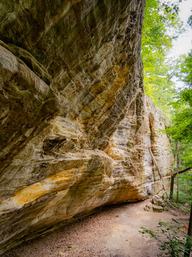 Majestic towering sandstone canyon wall in a lush green forest with natural hiking trail