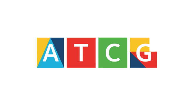 ATCG DNA Nucleobases Graphic Design - Genetic Code Adenine Thymine Cytosine Guanine Minimalist Scientific Illustration on White