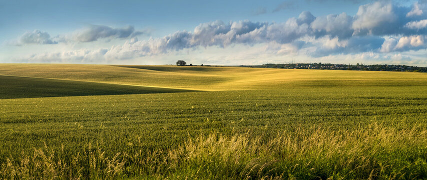 A picturesque landscape with rolling fields and a sky.