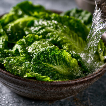 Cleaning fresh romaine lettuce leaves in wooden bowl with vegetables cleaning culinary