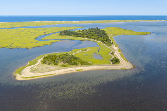 Narrow channels meander through a beautiful salt marsh fringing Hog and Sampson Islands in Pleasant Bay, Cape Cod. Marshes provide critical habitat for many birds, fish, and marine invertebrates.