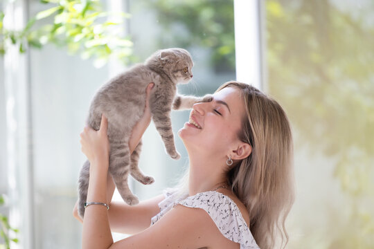 Portrait of smiling woman with her cat at home, Scottish gray fold cat sitting on table, Caucasian woman use tablet computer at home
