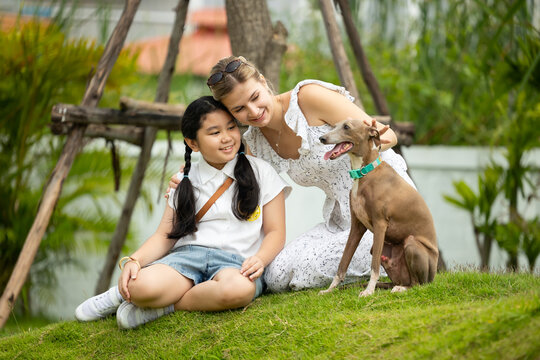 young caucasian woman embraces her gray Italian Greyhound dog, appearing relaxed and content. Home pets. woman holding and hugging her cute dog while walking in the park Outdoor