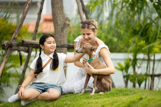young caucasian woman embraces her gray Italian Greyhound dog, appearing relaxed and content. Home pets. woman holding and hugging her cute dog while walking in the park Outdoor