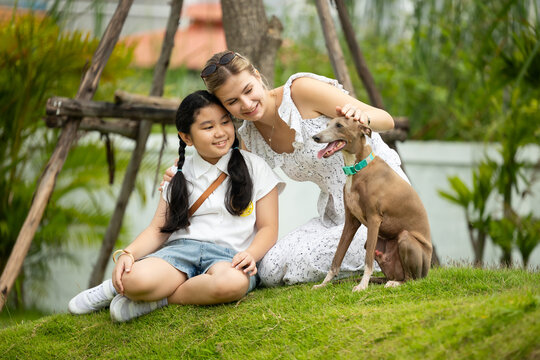 young caucasian woman embraces her gray Italian Greyhound dog, appearing relaxed and content. Home pets. woman holding and hugging her cute dog while walking in the park Outdoor