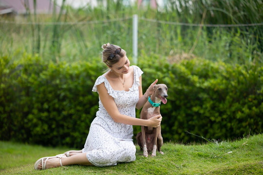 young caucasian woman embraces her gray Italian Greyhound dog, appearing relaxed and content. Home pets. woman holding and hugging her cute dog while walking in the park Outdoor