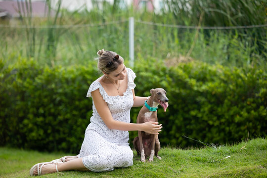 young caucasian woman embraces her gray Italian Greyhound dog, appearing relaxed and content. Home pets. woman holding and hugging her cute dog while walking in the park Outdoor