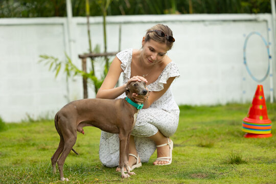 young caucasian woman embraces her gray Italian Greyhound dog, appearing relaxed and content. Home pets. woman holding and hugging her cute dog while walking in the park Outdoor